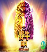 自动化更新功能